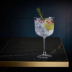 Archie Gin Cocktail Glasses 470ml/16.5oz (Pack of 6)