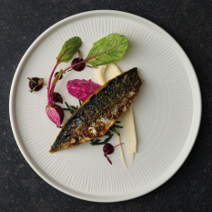 Churchill Bamboo Ceramic Walled Plate 21cm/8.25" (Pack of 6)