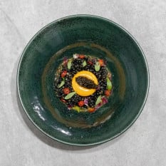 Steelite Vesuvius Burnt Emerald Coupe Plate 28cm/11" (Pack of 12)