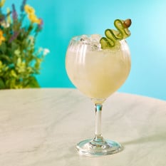 Twilight Polycarbonate Gin Glass 640ml/ 22.5oz (Pack of 12)