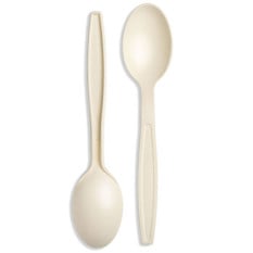 Natural Cornstarch Dessert Spoon 16.8cm/6.6" (Pack of 100)