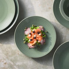 Steelite Folio Concorde Fern Coupe Plate 25.5cm/10" (Pack of 12)