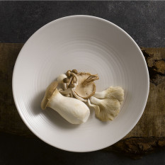 Dudson Evo Pearl Coupe Plate 22.9cm/9" (Pack of 6)