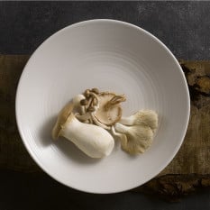 Dudson Evo Pearl Coupe Plate 27.3cm/10.75" (Pack of 6)