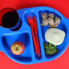 Copolyester Large Meal Tray with 4 Compartments 