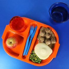Copolyester Small Meal Tray with 4 Compartments