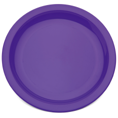 Polycarbonate Narrow Rimmed Plate 23cm (Pack of 10)