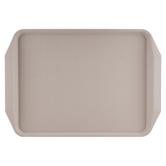 ABS Tray with Handle 43.5 x 30.5cm