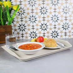 ABS Tray with Handle 43.5 x 30.5cm