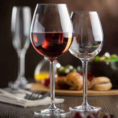 Lucent Reusable Polycarbonate Sommelier Wine Glasses 430ml/15oz (Pack of 12)