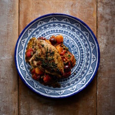Dudson Harvest Mediterranean Moresque Coupe Plate 28.8cm/11.25" (Pack of 12)