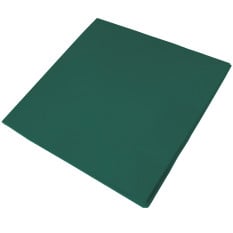 Cocktail Napkins Dark Green 24cm 2ply (Pack of 250)