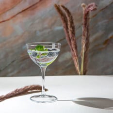 Bormioli Rocco Novecento Martini Glasses 240ml/8oz (Pack of 24)