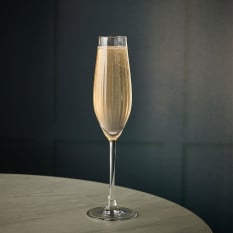 Nexus Vivace Optic Champagne Flute 225ml/8oz (Pack of 6)
