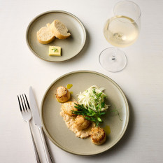 Roots Olive Plate 20cm/7.75" (Pack of 6)