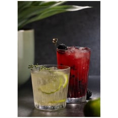 Luzia Tumblers 300ml/10.5oz (Pack of 24)