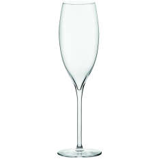 Nude Terroir Crystal Champagne Flutes 300ml/10.5oz (Pack of 12)