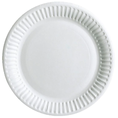 Paper Plate 229mm/9 Inch White (Pack of 100)