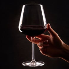 Paradox Form 27 White Wine Glasses 425ml/15oz (Pack of 6)