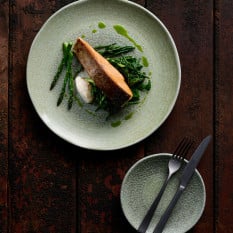 Dudson Harvest Grain Green Coupe Plate 23cm/9" (Pack of 12)