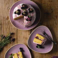 Churchill Stonecast Lavender Evolve Coupe Plate 28.8cm/11.31" (Pack of 12)