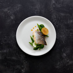 Steelite Simplicity White Slimline Plate 23cm/9" (Pack of 24)