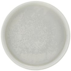 Incise Porcelain Lucine Presentation Plate 18cm/7" (Pack of 6)