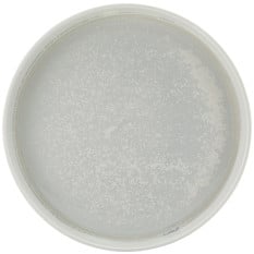 Incise Porcelain Lustre Presentation Plate 25cm/10" (Pack of 6)