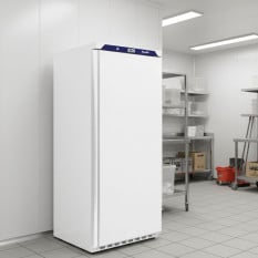 Prodis HC610F Upright White Commercial Freezer 620 Litre