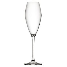 Seine Crystal Flute Glasses 260ml/9.25oz (Pack of 6)