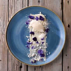 Churchill Stonecast Cornflower Blue Coupe Plate 28.8cm/11.31" (Pack of 12)