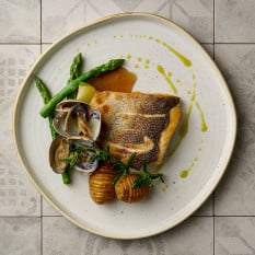 Churchill Stonecast Barley White Organic Walled Plate 21cm/8.25" (Pack of 6)
