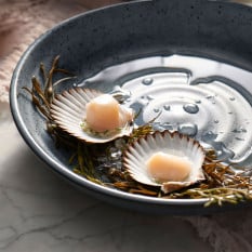 Robert Gordon Storm Coupe Dish 18.5cm/7" (Pack of 12)