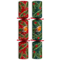 11" Robin Red/Green Mixed Box Christmas Cracker with Quiz (Pack of 100)