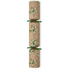 11" Mistletoe Kraft Christmas Cracker with Christmas Quiz (Pack of 100)