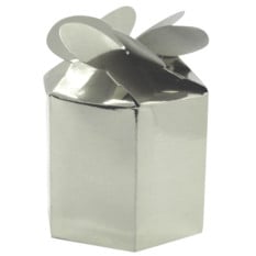 Silver Foil Gift Boxes (Pack of 24)