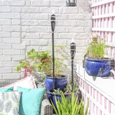Bamboo Garden Fire Torch Black 60cm (Pack of 6)