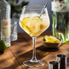 Vicrila Gala Gin Cocktail Glasses 670ml/23.5oz (Pack of 6)