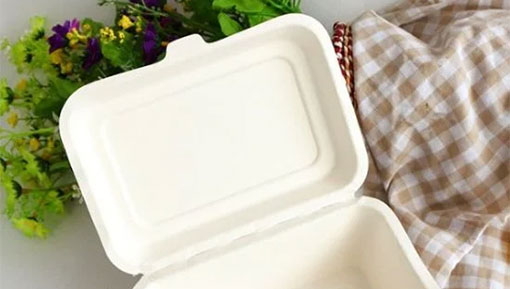 What is Bagasse Material? 