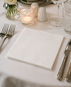 Dinner Napkins (40 cm)