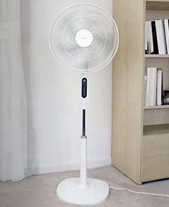 Igenix Digital Pedestal Fan