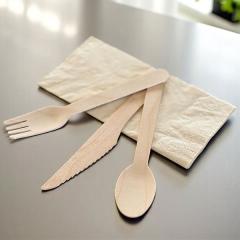 Disposable Cutlery
