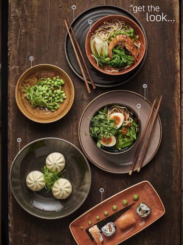 Churchill Stonecast Asian Fusions tableware concept