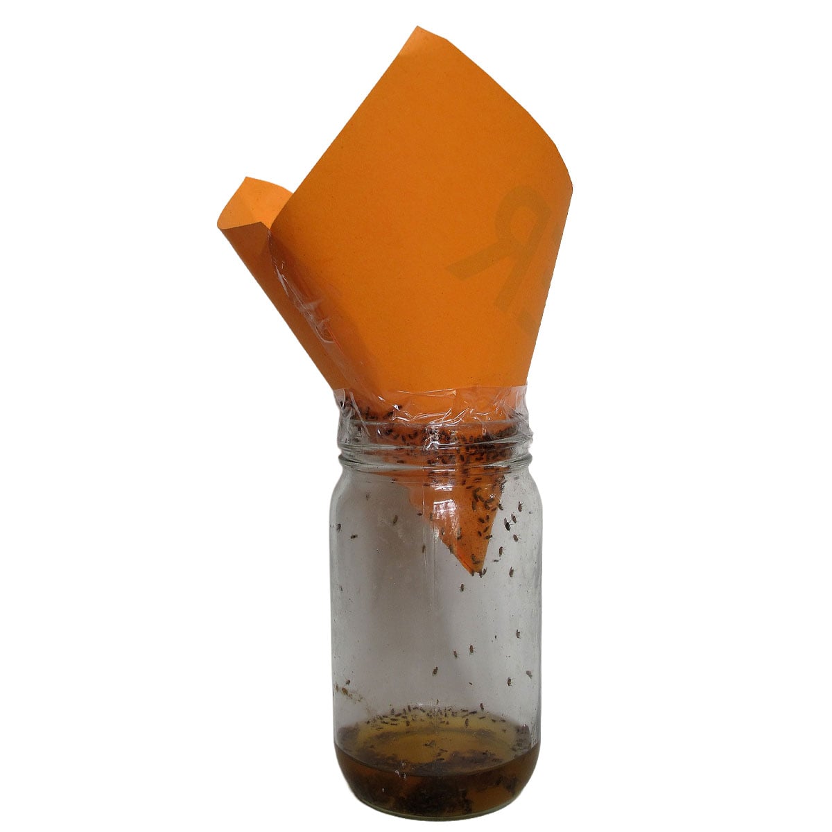 Use Vinegar Traps