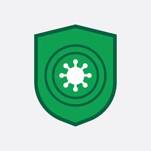 Icon 2